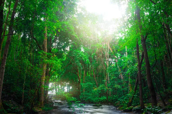 Tapet natur vattenfall ström. Thailand Doi-Inthanon, Thailand Tropical — Stockfoto