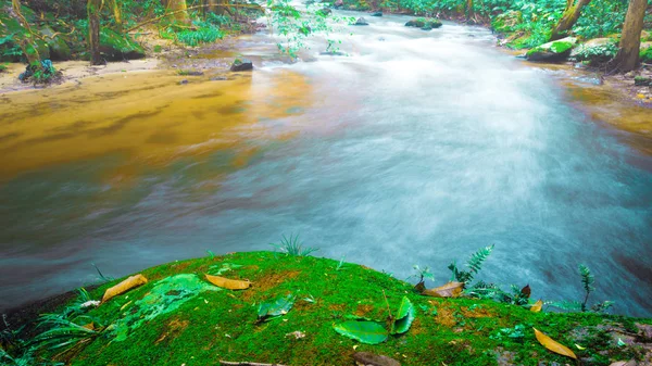 Fondos de pantalla naturaleza Cascada corriente. Tailandia doi-inthanon, Tailandia tropical — Foto de Stock