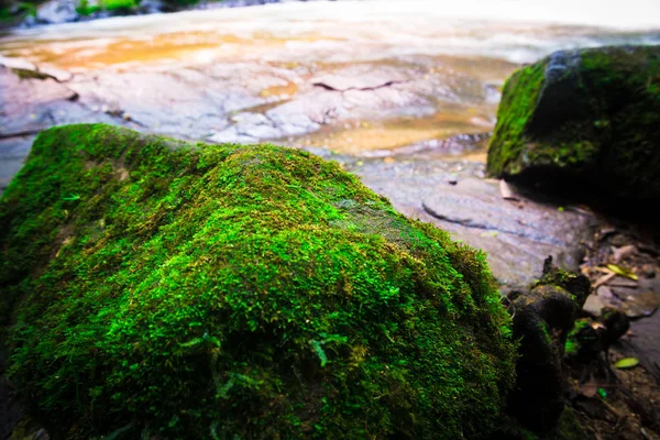 Přírodní Tapeta vodopádový proud. Thajsko Doi-Inthanon, Thajsko tropické — Stock fotografie