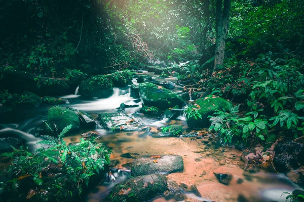 Fondos de pantalla naturaleza Cascada corriente. Tailandia doi-inthanon, Tailandia tropical — Foto de Stock