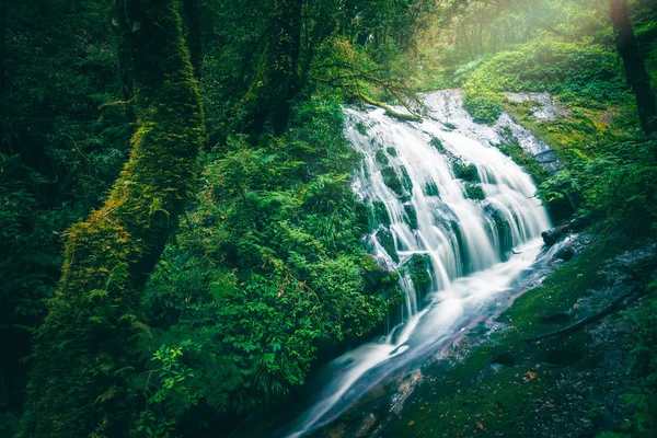 Cascata di fondo naturale. cascata Foglie colorate. cascata thailandia tropicale — Foto Stock