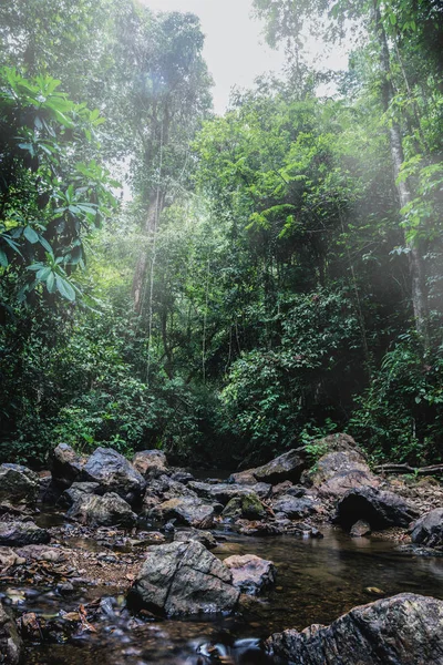 Paisaje rural.Bosque en los trópicos Durante la temporada de lluvias. Asia tropical Tailandia — Foto de Stock