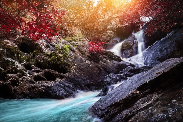 Přirozený vodopád pozadí. vodopád barevný listí. Thajské tropické — Stock fotografie