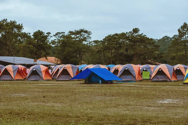 Utazás pihenni az ünnepen. Camping a hegyen. sátor, hegy, kemping, vidék, erdő, természet, szabadtéri, üdülés, pihenés, utazás, nyár, kempingek Thaiföld. — Stock Fotó