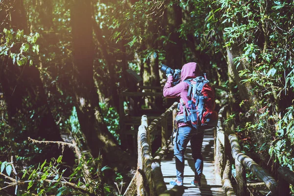 Photographer  asian woman travel  nature. Travel relax.  Nature Study in the Jungle. Thailand — Stock Photo, Image