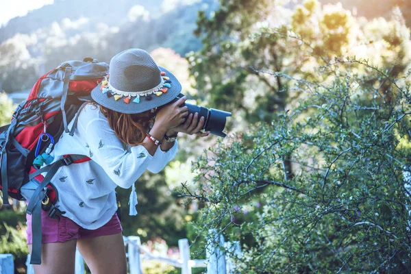 写真家アジアの女性は自然を旅します。旅行はリラックス。自然研究。夏の公園で。タイで — ストック写真