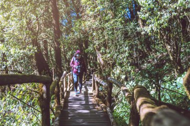 Fotoğrafçı asyalı kadın seyahat doğa. Seyahat rahatlayın. Ormanda Doğa Çalışması. Kız doğaya seyahat ediyor. Seyahat rahatlayın. Dağ, Sırt Çantası, açık, tatil, dinlenmek, seyahat, orman, kırsal.
