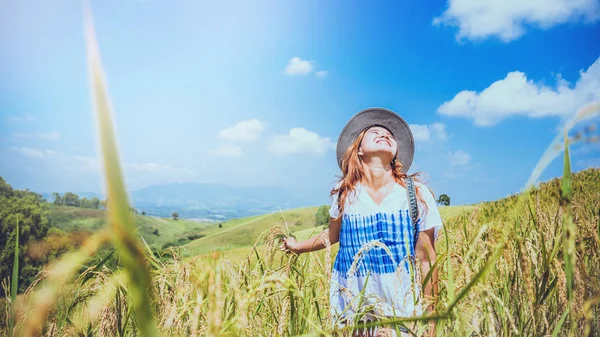 Asian woman travel relax in the holiday. Stand natural touch mountain field summer. The girl travel nature. Travel relax. Mountain, Backpack, outdoor, holiday, relax, travel, forest, countryside, travel Thailand.