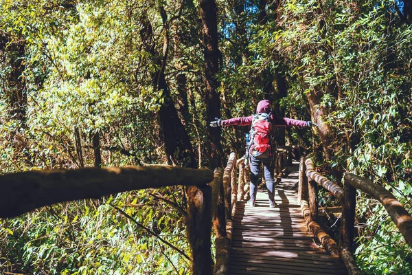 Fotógrafo asiático mujer viaje naturaleza. Relájate. Nature Study in the Jungle. La chica viaja por la naturaleza. Relájate. Montaña, Mochila, al aire libre, vacaciones, relajarse, viajar, bosque, campo . —  Fotos de Stock