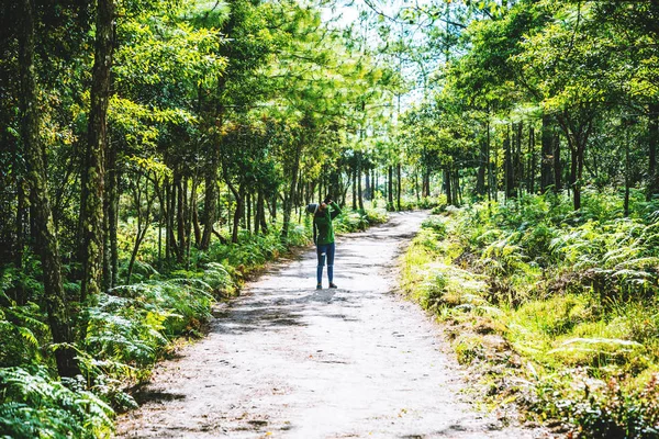 photographer Asian woman Traveling photograph Nature. travel relax in the holiday walk in the forest. summer, nature, adventure, outdoor, holiday, relax, camping, travel Thailand.