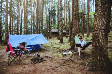 Asian women travel natural relax . Sitting working using a notebook. in the hammock. campsite on the national park  Doi inthanon at Chiangmai. in Thailand clipart