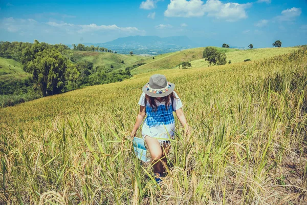 아시아 여성 여행 휴가에 휴식. 측량 맵 마운틴 필드를 확장합니다. 언덕에 작물 쌀 목장. 태국 — 스톡 사진