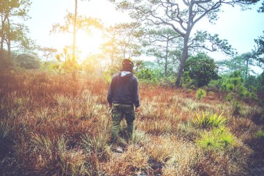 Asyalı adam doğaseyahat. Seyahat rahatlayın. Doğal dağ çayırına dokunun. ormanda yürümek. dağlarda yürüyüş. Tayland 