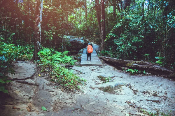 Mujer asiática viaje naturaleza. Relájate. Mochila caminar en el bosque. senderismo en las montañas. Tailandia — Foto de Stock