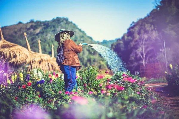 Asian kobieta ogrodnik jest podlewanie w a kwiat ogród. — Zdjęcie stockowe