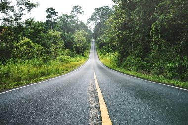 Peyzaj yol asfalt yol Kırsal Yol Kenarı Görünümü Dağ Manzarası. Karayolu taşımacılığı