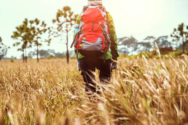 亚洲女人旅行自然。旅行放松。背包在森林的草地上散步。在山上徒步旅行。泰国 — 图库照片