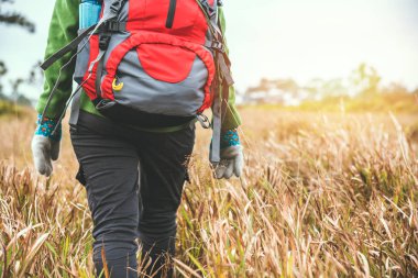 Asyalı kadın seyahat doğa. Seyahat rahatlayın. Sırt çantası ormanda çayır üzerinde yürümek. Tayland