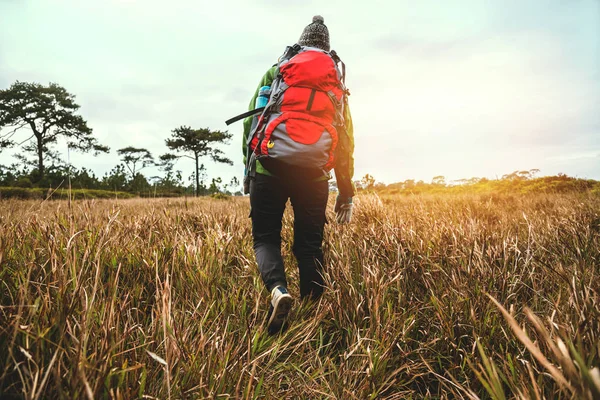 アジアの女性は自然を旅します。旅行はリラックス。森の草原を歩くバックパック。タイ。山でのハイキング — ストック写真