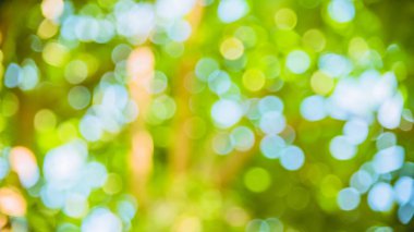 parkta arka plan bulanık doğal ve hafif arkaplan.