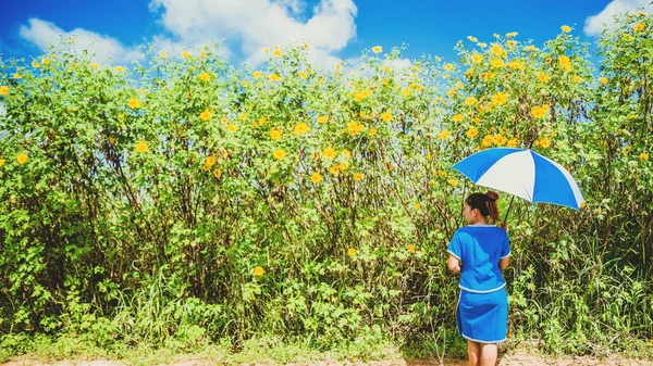 Asian women travel sleep relax. Women dress up hill tribe. Walk in the flower garden  Tithonia diversifolia. Thailand