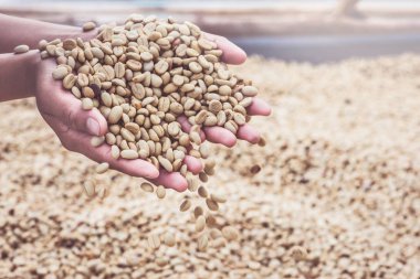 Arka planda doğal kurutulmuş fasulye, kahve çekirdeği. Kahve hazır. tam çerçeve