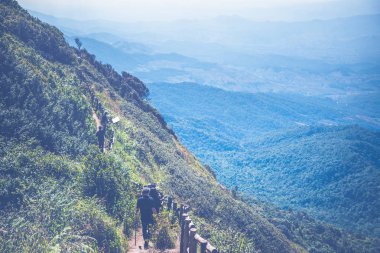 Turist gezileri, dağ sırtları boyunca doğa gezileri. Mavi gökyüzü, temiz hava, güneş ışığı parlıyor. Tayland Chiangmai do inthanon kew-mae-pan
