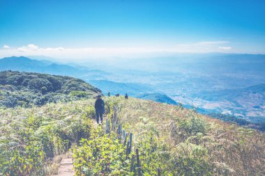 Turist gezileri, dağ sırtları boyunca doğa gezileri. Mavi gökyüzü, temiz hava, güneş ışığı parlıyor. Tayland Chiangmai do inthanon kew-mae-pan