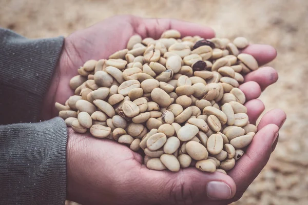 Antecedentes granos secos naturales, grano de café.Café en la mano. marco completo — Foto de Stock