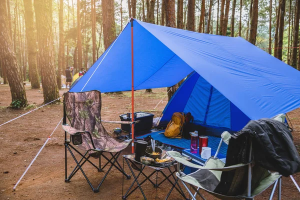 Turismo de natureza, acampando no meio da floresta de pinheiros. acampar na Montanha. no parque nacional Doi inthanon Chiangmai. na Tailândia — Fotografia de Stock