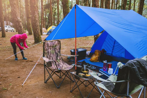 Donne Turismo naturalistico, campeggio in mezzo alla pineta. Regolazione e tirando la corda della tenda . — Foto Stock