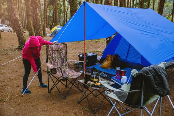 Mulheres Turismo de natureza, acampando no meio da floresta de pinheiros. Ajustar e puxar a corda da tenda . — Fotografia de Stock