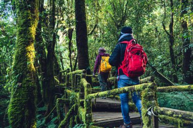 Çiftler seyahat, kış aylarında rahatlayın. yağmur ormanları doğa çalışmak için seyahat yürüyüş. Angka, Chiangmai Tayland. dağlarda yürüyüş