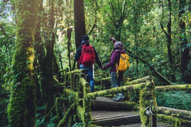 Çiftler seyahat, kış aylarında rahatlayın. yağmur ormanları doğa çalışmak için seyahat yürüyüş. Angka, Chiangmai Tayland. dağlarda yürüyüş