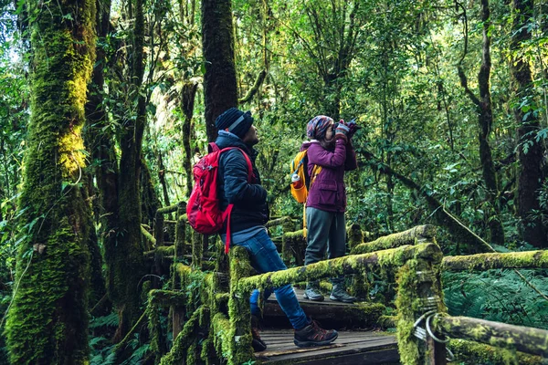Parejas viajando, relajarse en invierno. caminar para estudiar la naturaleza en la selva tropical. en el Angka, Chiangmai en Tailandia. senderismo en las montañas — Foto de Stock