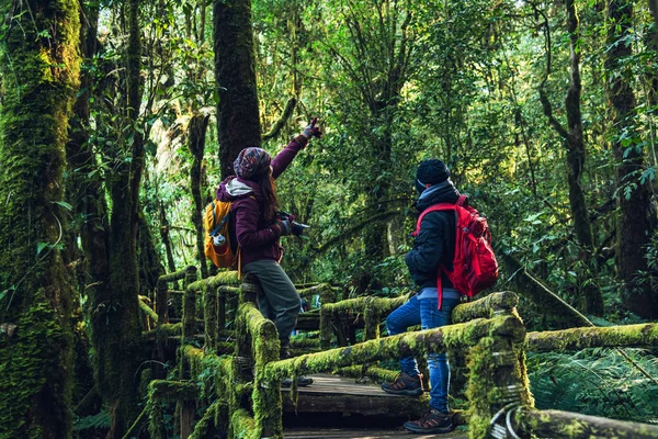 커플 여행, 겨울에 휴식. 열대 우림에서 자연을 연구하기 위해 도보 여행. 앙카에서, 태국 치앙마이. 산에서 하이킹 — 스톡 사진
