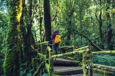 Asyalı kadın yağmur ormanlarında doğayı incelemek için seyahat. Tayland'da Angka, Chiangmai de çok güzel yeşil yosun ile köprüde fotoğraf çekiyor. dağlarda yürüyüş