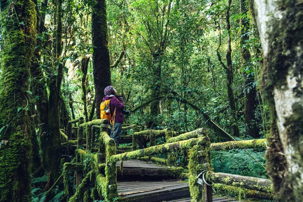 Азіатські жінки подорож на вивчення природи в тропічному лісі. Бере фотографії на мосту з безліччю красивих зелених мохів на angka, Chiangmai в Таїланді. походи в гори — стокове фото