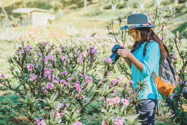 Mulher asiática viajar natureza. Descontrai. De pé fotografando belas flores de damasco rosa no jardim de damasco . — Fotografia de Stock