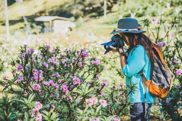 Asian kobieta podróżować natura. Podróże relaks. Stojący fotografowania pięknych różowe kwiaty moreli w ogrodzie morelowym. — Zdjęcie stockowe