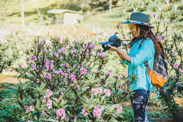 Aziatische vrouw reizen natuur. Reizen ontspannen. Staand fotograferen van mooie roze abrikoos bloemen in abrikoos tuin. — Stockfoto