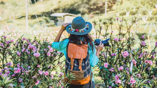 Aziatische vrouw reizen natuur. Reizen ontspannen. Staand fotograferen van mooie roze abrikoos bloemen in abrikoos tuin. — Stockfoto