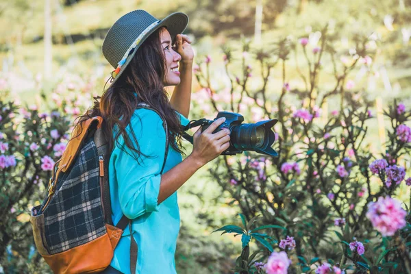 Asiatisk kvinna reser natur. Resa slappna av. Stående fotografering vackra rosa aprikos blommor på aprikos trädgård. — Stockfoto