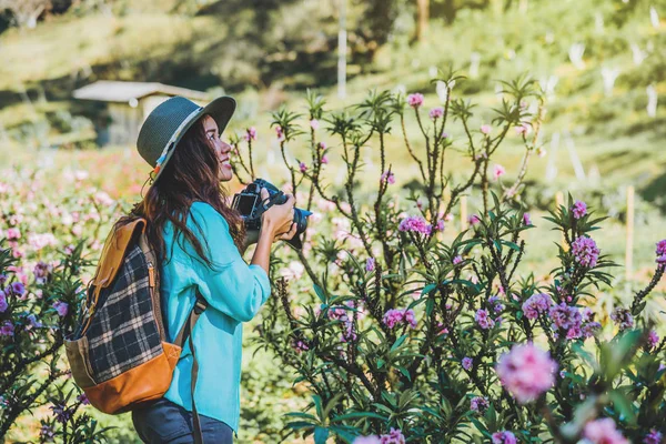 アジアの女性は自然を旅します。旅行はリラックス。アプリコットガーデンで美しいピンクのアプリコットの花を撮影する立ち上がり. — ストック写真