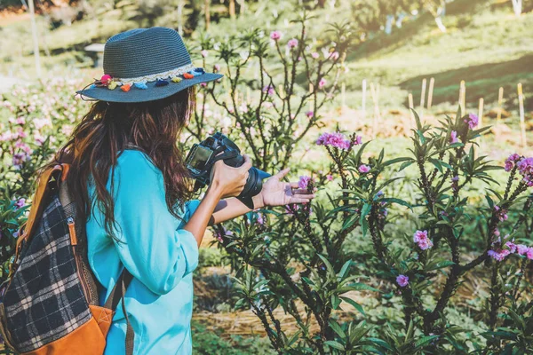 アジアの女性は自然を旅します。旅行はリラックス。アプリコットガーデンで美しいピンクのアプリコットの花を撮影する立ち上がり. — ストック写真