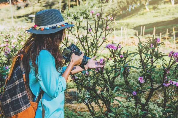 Mujer asiática viaje naturaleza. Relájate. De pie fotografiando hermosas flores de albaricoque rosa en el jardín de albaricoque . — Foto de Stock