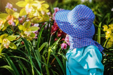 işçi bahçıvan bahçede orkide çiçek ilgileniyor. Tarım, orkide Ekimi. Cymbidium Orkide