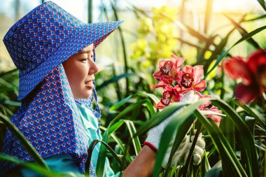 Genç kadın işçi bahçedeki orkide çiçeğiyle ilgileniyor. Cymbidium orkide Kırmızı.