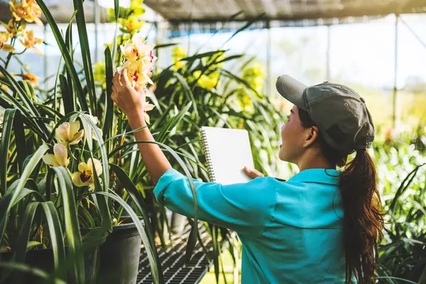Asiatisk kvinna resa slappna orkidé utbildning Skriv anteckningar i Orchid Garden, bakgrund orkidé. — Stockfoto