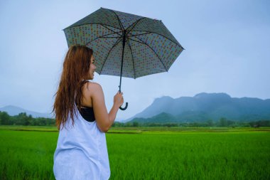 Asyalı kadınlar tatilde rahatça seyahat ederler. Kadınlar yağmurda bir şemsiye tutarak mutlu durdular ve yağan yağmurun tadını çıkardılar. Ülkelerde seyahat, yeşil pirinç tarlaları, Tayland seyahatleri..